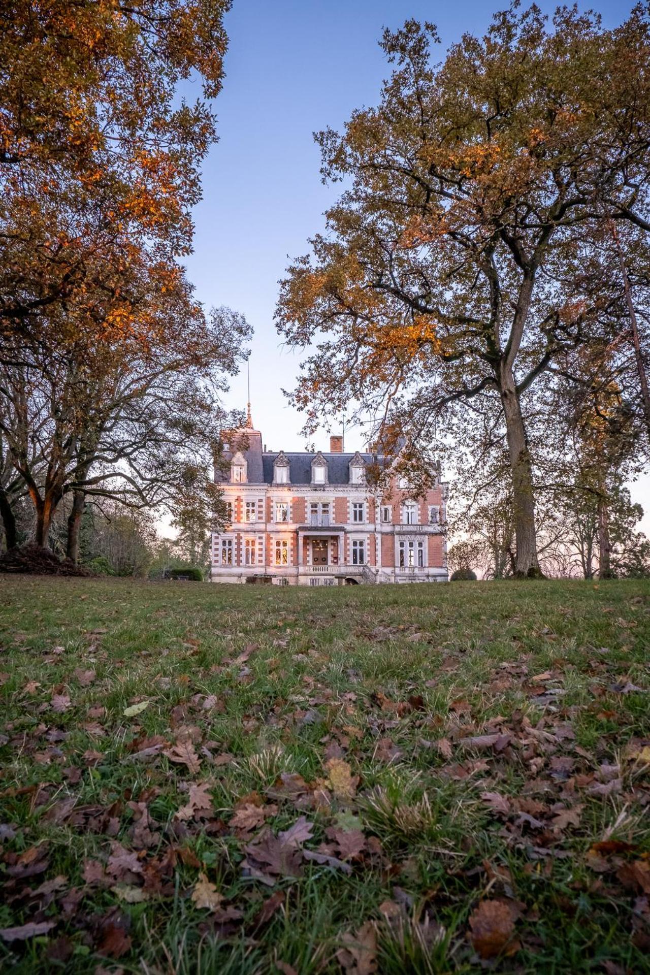 Chateau De L'Aubriere - Teritoria La Membrolle-sur-Choisille Exterior foto
